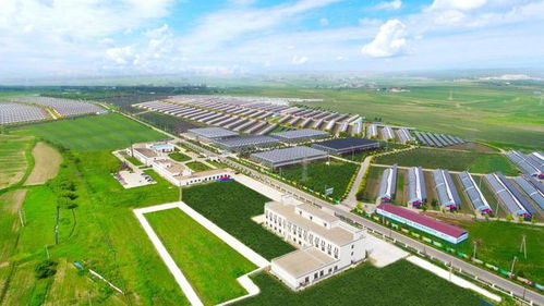 鄉(xiāng)村振興看長春 走在農(nóng)業(yè)科技創(chuàng)新的路上,她斗志昂揚