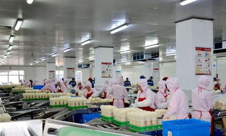 長春高榕生物科技 深耕食用菌產(chǎn)業(yè) 用科技還原生態(tài)之美